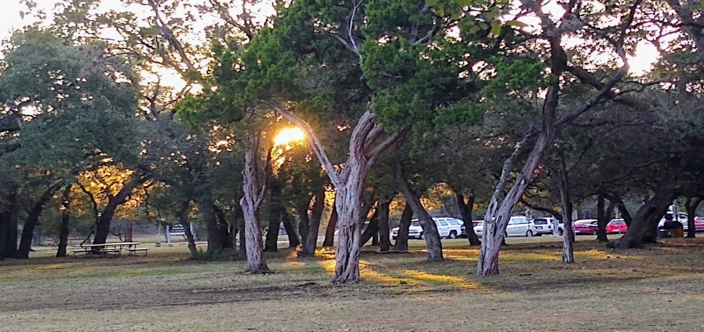 Parking to remain at sensitive Zilker spot Urbanize Austin